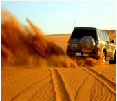 Morning Desert Safari