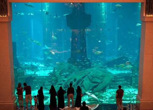 Atlantis Lost Chamber