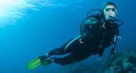 Scuba Diving Tour